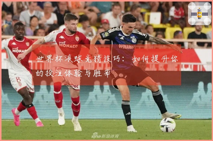 世界杯滚球竞猜技巧：如何提升你的投注体验与胜率