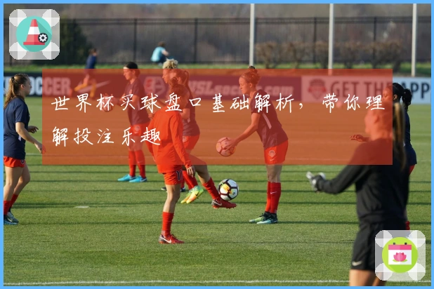 世界杯买球盘口基础解析，带你理解投注乐趣