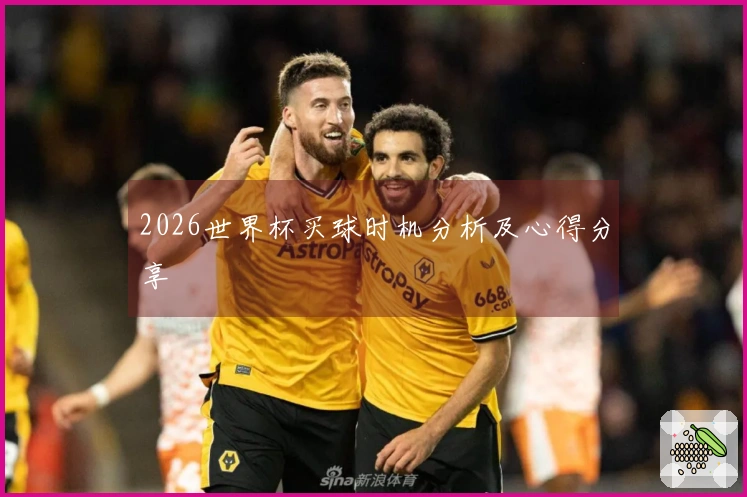 2026世界杯买球时机分析及心得分享