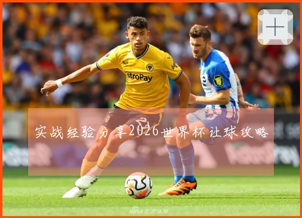 实战经验分享2026世界杯让球攻略