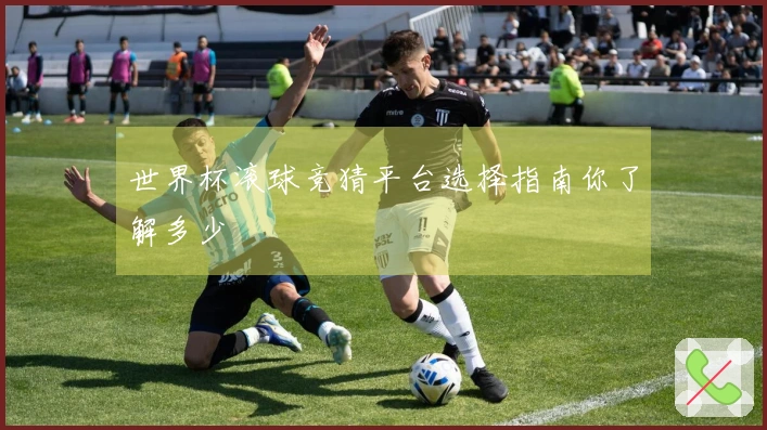 世界杯滚球竞猜平台选择指南你了解多少