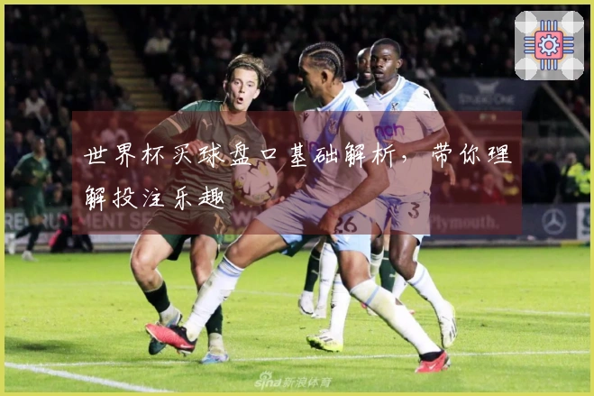 世界杯买球盘口基础解析，带你理解投注乐趣